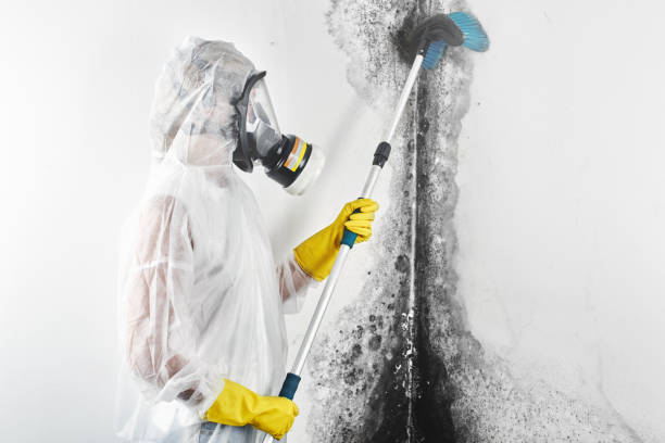Best Indoor Air Quality Assessment  in Essex Fells, NJ