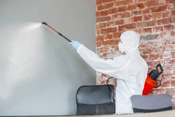 Best Mold Odor Removal Services  in Essex Fells, NJ