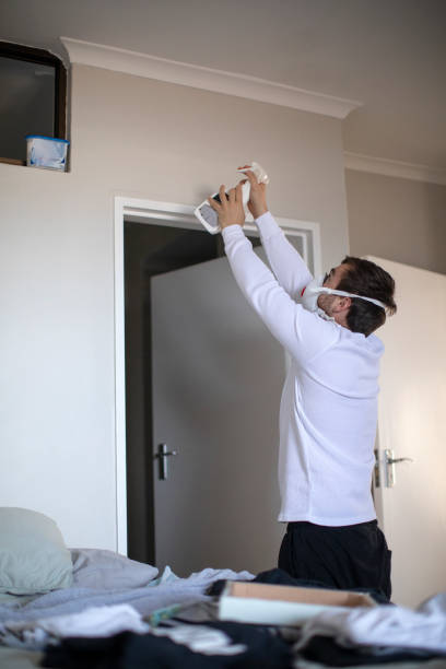 Trusted Essex Fells, NJ Mold Removal Experts