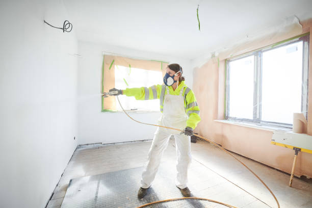 Best Asbestos and Lead Testing During Mold Inspection  in Essex Fells, NJ