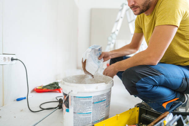 Best Black Mold Removal  in Essex Fells, NJ