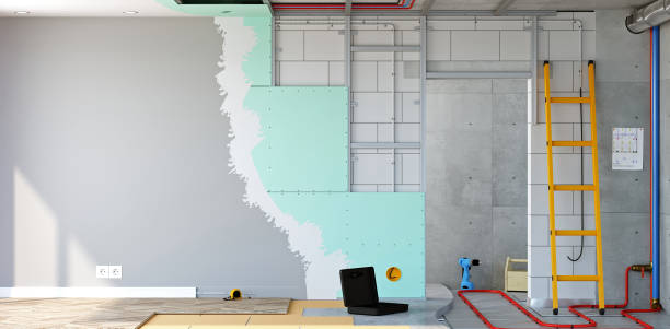 Best Mold Odor Removal Services  in Essex Fells, NJ