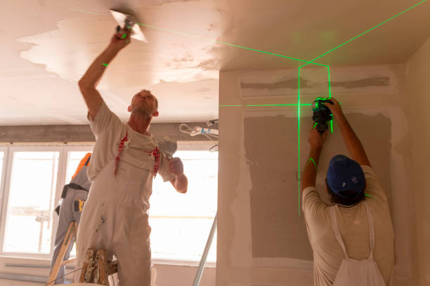 Best Mold Damage Restoration  in Essex Fells, NJ