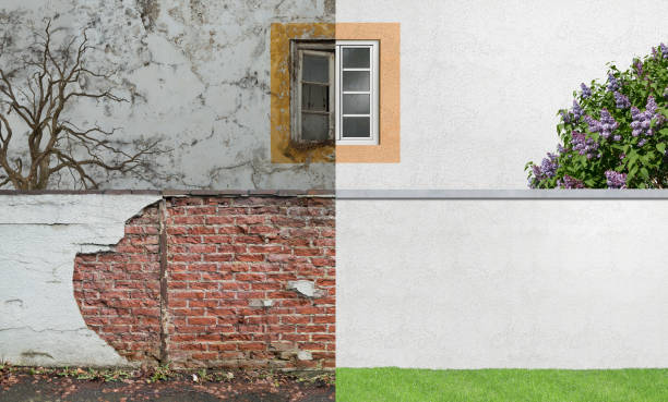 Best Forensic Mold Investigation  in Essex Fells, NJ