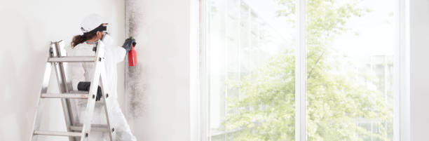 Best Real Estate Mold Inspection  in Essex Fells, NJ