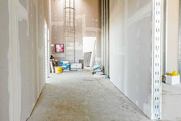 Best Basement Mold Removal  in Essex Fells, NJ