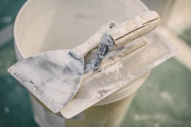 Best Airborne Mold Testing  in Essex Fells, NJ