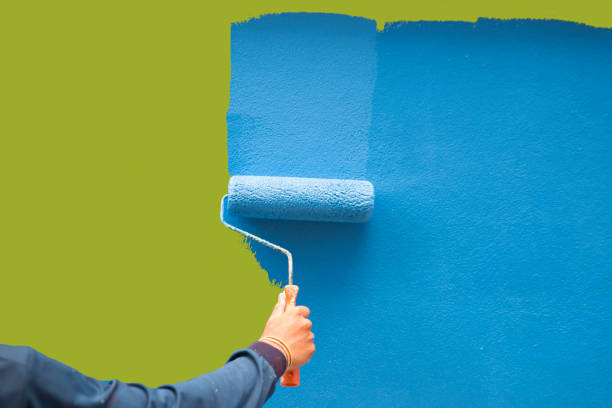 Best Basement Mold Removal  in Essex Fells, NJ